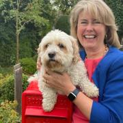 Southend MP's bid to crack down on pet abduction passes one of its final hurdles