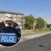 Seven people have now been arrested in connection with an attempted murder probe, Essex Police said