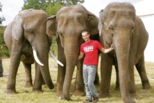 Elephant trainer Lars Holscher with, from left, Sonja, Vana Mana and Dehli 