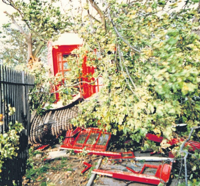 Devastation calling - Simon Bishop saw a phone box in London Road which had been decimated by a tree