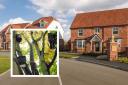 Developer reveals 'eco-friendly vision' for 500-home development in south Essex