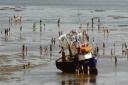 Messing about on the water – visitors enjoy a stroll along the mudflats of Southend