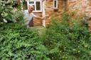 Complaining – John James wants someone to tidy up foliage outside his house