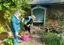 On the lookout for gardeners - Havens Hospices