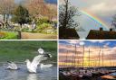 Gallery: 20 of the best south Essex camera club photos in the Echo this week