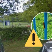 Update issued after Eastwood park's play area closed due to toxic caterpillars