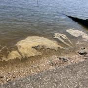 Sewage - Sewage spilled on Shoebury beach
