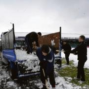 Hard at work - getting rid of the snow at Roots Hall
