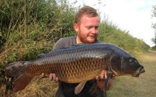 Big boy - Charlie Ridpath shows off this majestic common