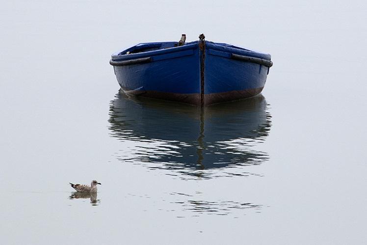  
This picture (entitled 'Reflections') was taken on a misty morning off Southend Pier by Michael Barrett.
