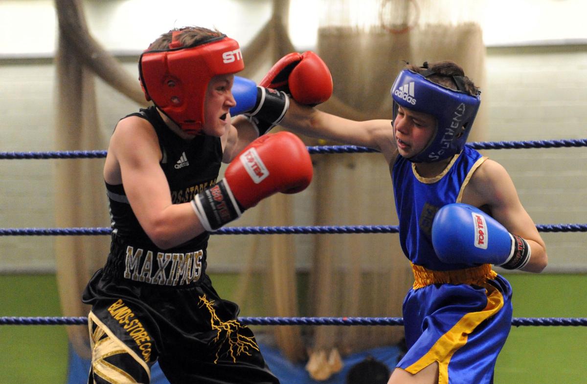 Boxing night at James Hornsby school, organised by Berry boxing club
red hat MAximus Leydon from 5 Star ABC v S ( Soul I think ) Brooks from Southend ABC  in the blue hat