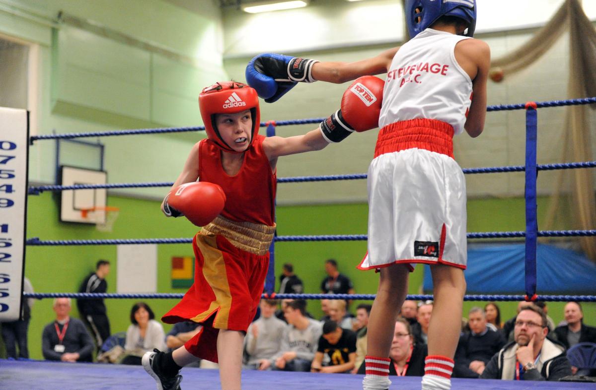 Boxing night at James Hornsby school, organised by Berry boxing club
J  Fearney from Lansbury in the red hat v B Cronin in the blue hat from Stevenage