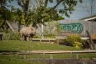 Chester Zoo CAN now reopen on Monday says Boris Johnson