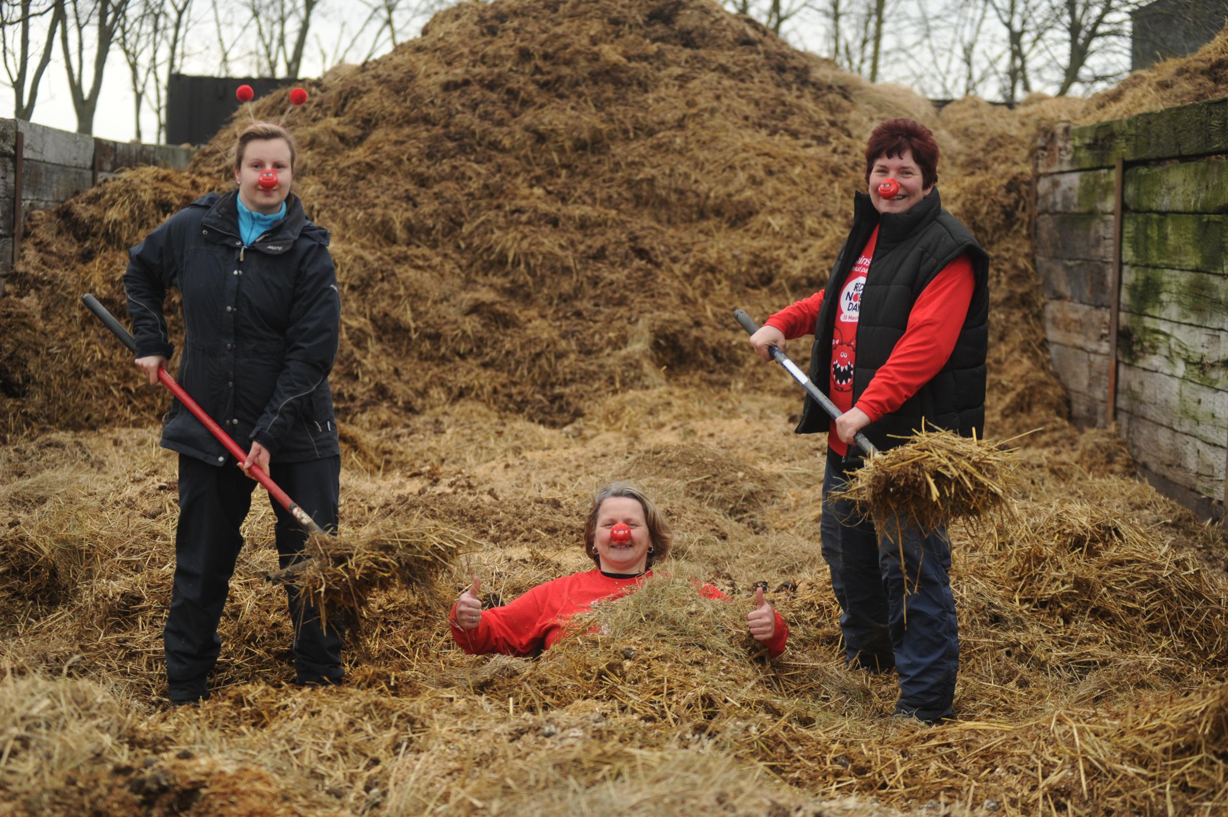 Red noses blocking the smell - Lisa Hawkins raised funds by sitting in horse manure at Wickfords Dollymans Farm in 2012