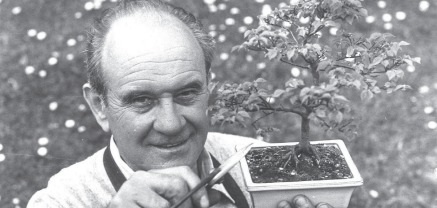 Bonsai - an exhibitor shows off his cultivation skills