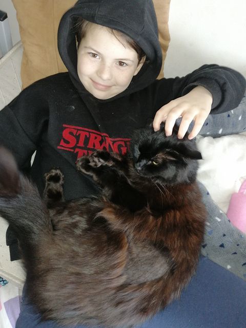 Reunited - Lexie Halliday with Mitzie the cat after two years