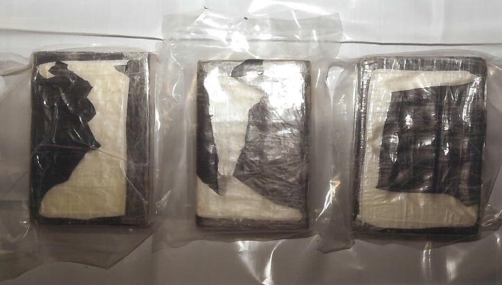 The blocks of cocaine