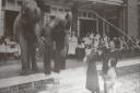 Giants - elephants at Southend Hospital in 1937