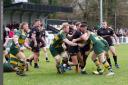 Looking to bounce back - Rochford Hundred take on Canterbury