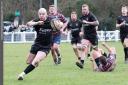 Big game - for Rochford Hundred