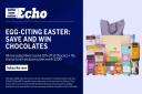 Basildon and Southend Echo Easter digital subscription offer