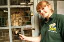 Here's all the job vacancies currently available at Colchester Zoo - how to apply