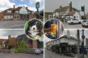 LISTED: The best dog-friendly pubs in south Essex (chosen by YOU)
