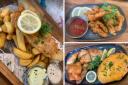 Yummy - Seafood Shack in Southend