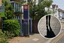 Teen girl 'terrified' as man followed her into Southend alleyway and lifted her skirt
