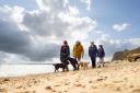 Walking dogs on the beach at Cudmore Grove Country Park