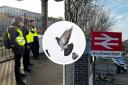 Claire Burroughs is urging c2c to replace the netting to prevent more pigeons getting trapped