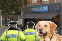 Hangry dog owner 'stages sit-down protest' in Greggs after being told to leave bakery