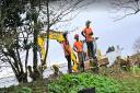 Protesters 'let down' as bulldozers move in to axe treasured Shoebury trees