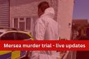 Trial - Luke D'Wit denies murdering Stephen and Carol Baxter