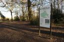 New ‘leaky dams’ to stop Hockley Woods flooding thanks to share of £25m grant