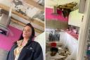 'Unsafe': Basildon woman terrified after ceiling collapses in middle of night