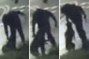 A domestic CCTV camera captured man appearing to whip a dog with its lead, hitting it and then hoisting it in the air by its throat