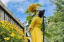 Meera Shiva, 31, has grown a massive 11ft sunflower in Leigh.
