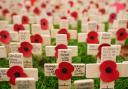 Essex will have a number of Remembrance Day events being held this weekend for 2022