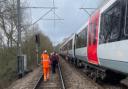 Rail passengers walked to safety after tree blocks line in south Essex