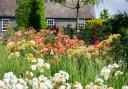 An Essex venue was the location for the picture from the overall young winner of the Royal Horticultural Society Photography competition (TripAdvisor)