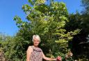 Basildon garden trail - Tina in her beautiful garden