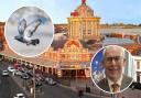 Council rule out buying back Kursaal...despite it becoming 'home for pigeons'