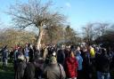 Popular event - crowds gather in the orchard