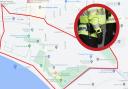 Police launch dispersal order in south Essex town this weekend after 'concerns'