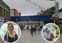 Protest - Hadleigh resident and dog lover Debra Lawrence to join march in Southend High Street on Saturday over the XL bully ban