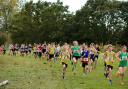 Proving popular - close to 800 runners will be taking part in a unique Essex Cross-County Championship in Basildon this weekend