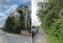 Hedgerows and woodland - Residents are vocal about defending the trees