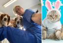 Canvey vet Lizzie Kwint has shared essential advice to keep pets safe over Easter.
