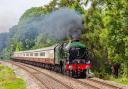 Look inside the vintage steam train setting off from Southend this summer